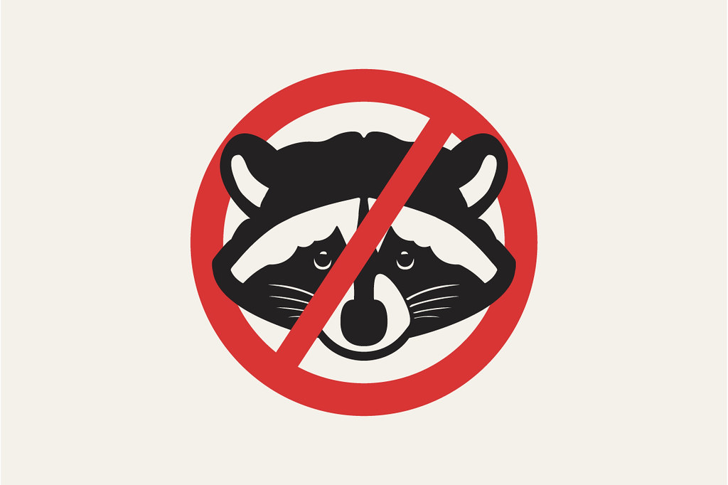 no_raccons